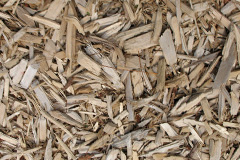 biomass boilers Zeal Monachorum