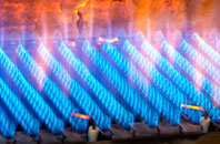 Zeal Monachorum gas fired boilers
